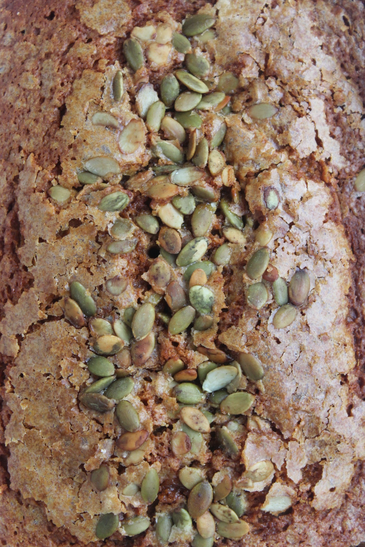 PUMPKIN TEA CAKE